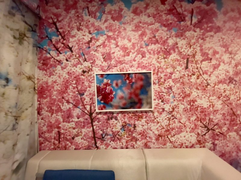 ホテルアンテルーム京都の桜の写真